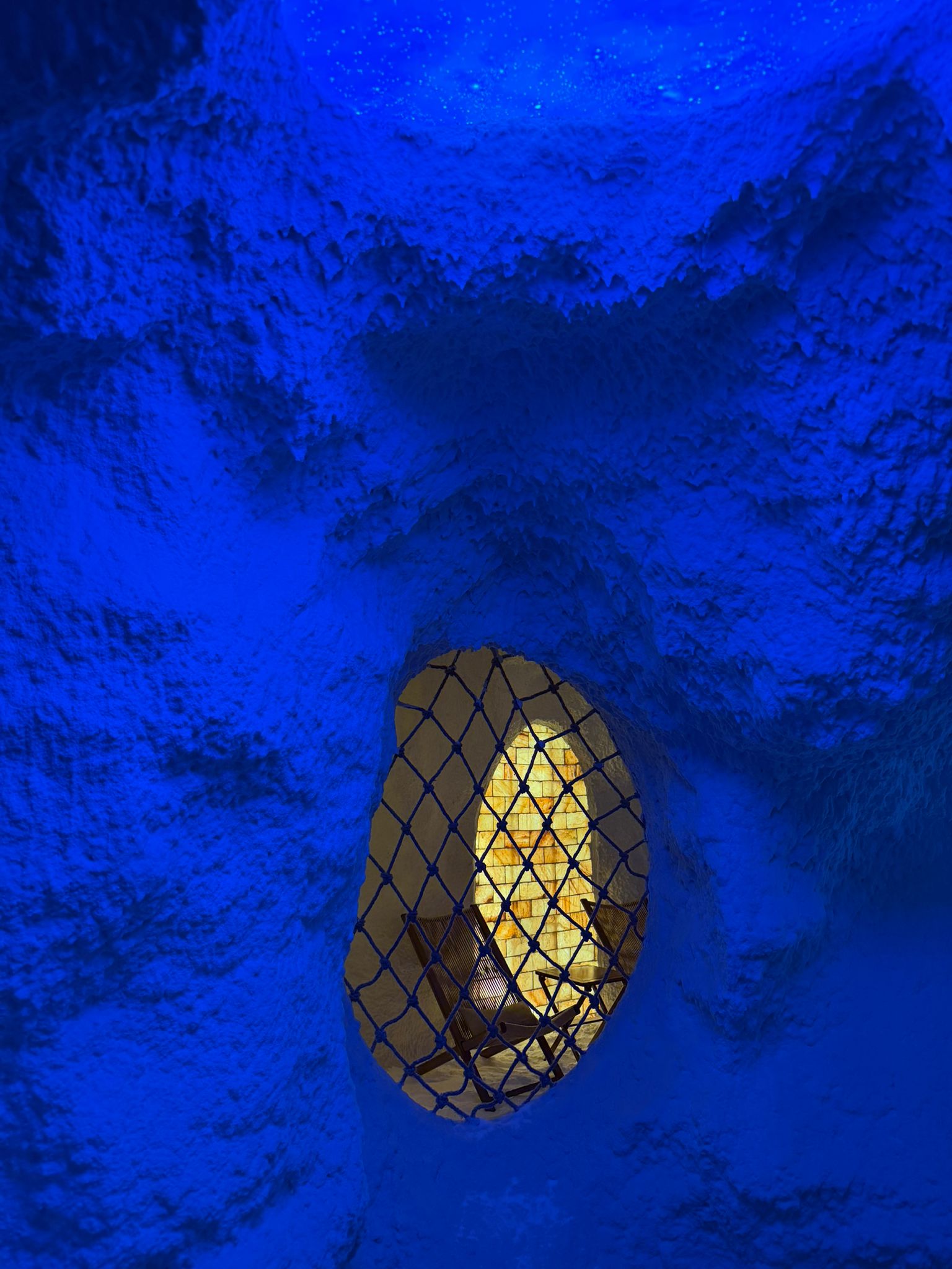 Vigor Lichen lobby detail