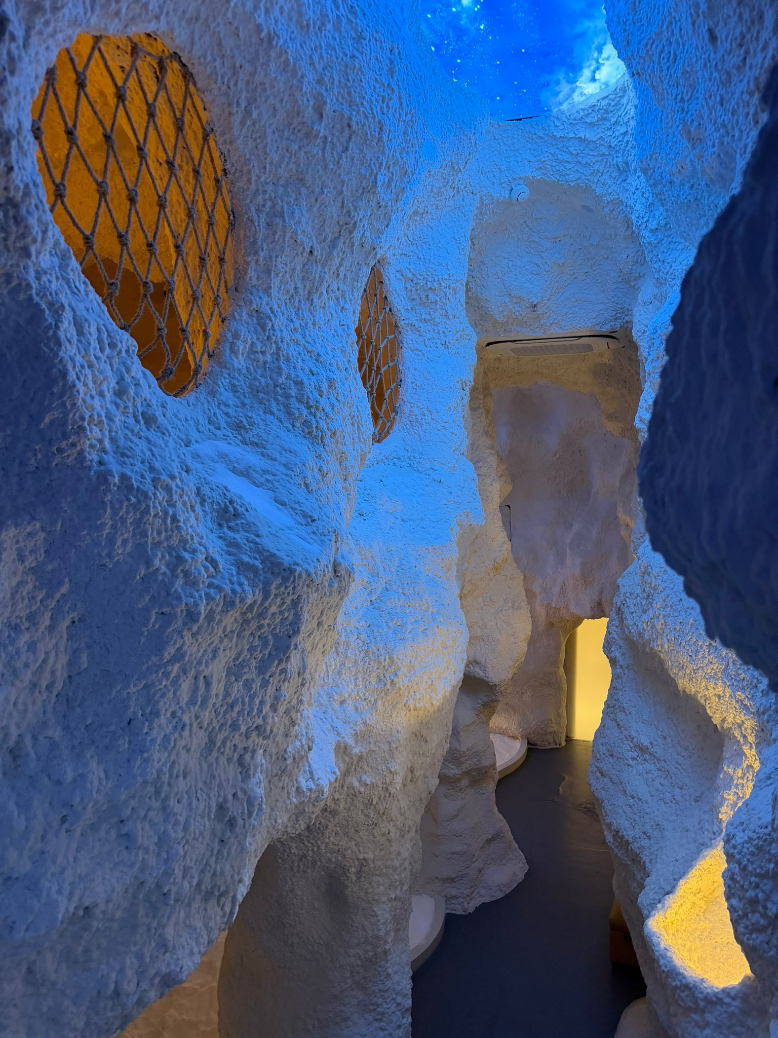 Vigor Lichen interior detail